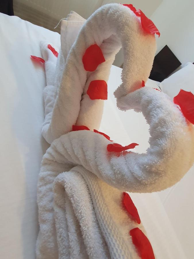 Casa Lions Hotell Timişoara Eksteriør bilde