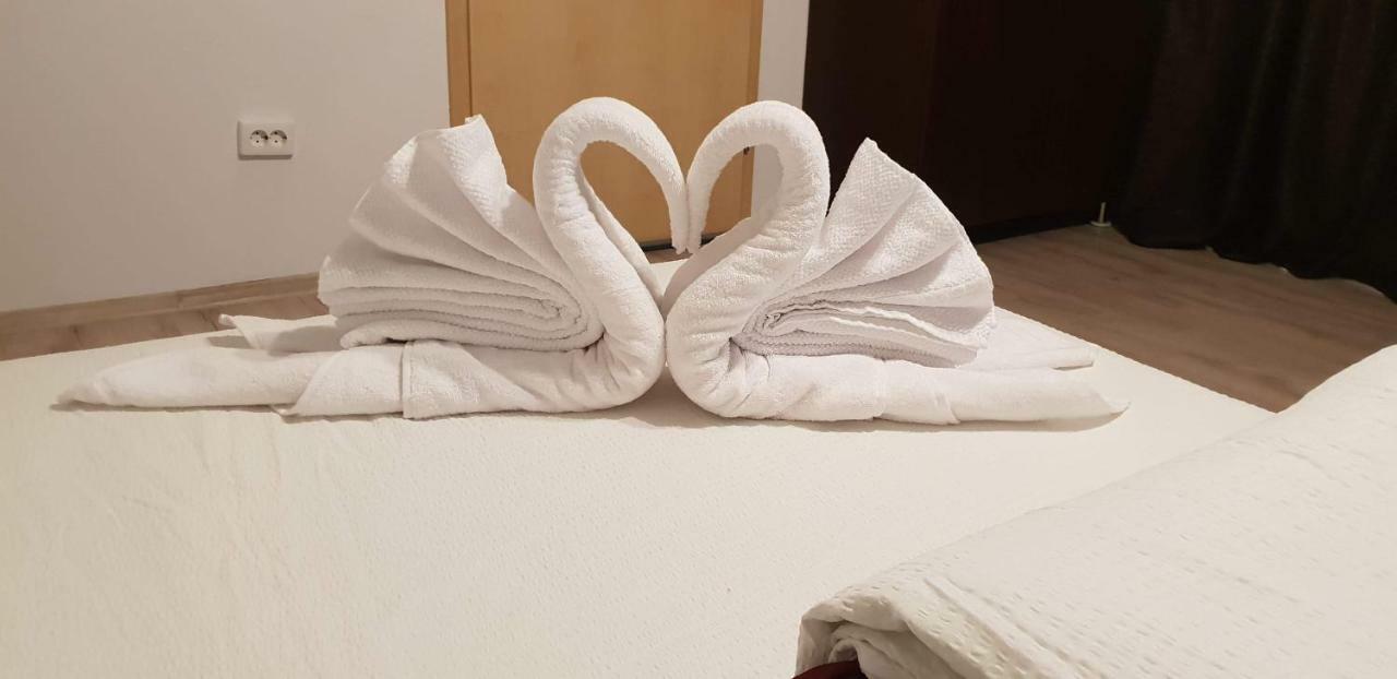 Casa Lions Hotell Timişoara Eksteriør bilde
